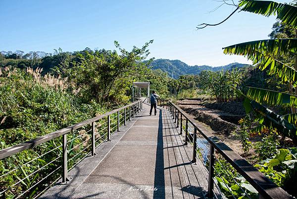 頭寮總督府 (21).jpg