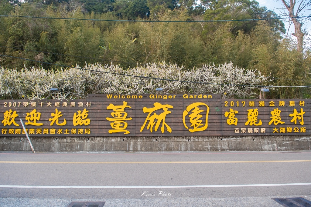 薑麻園 (16).jpg