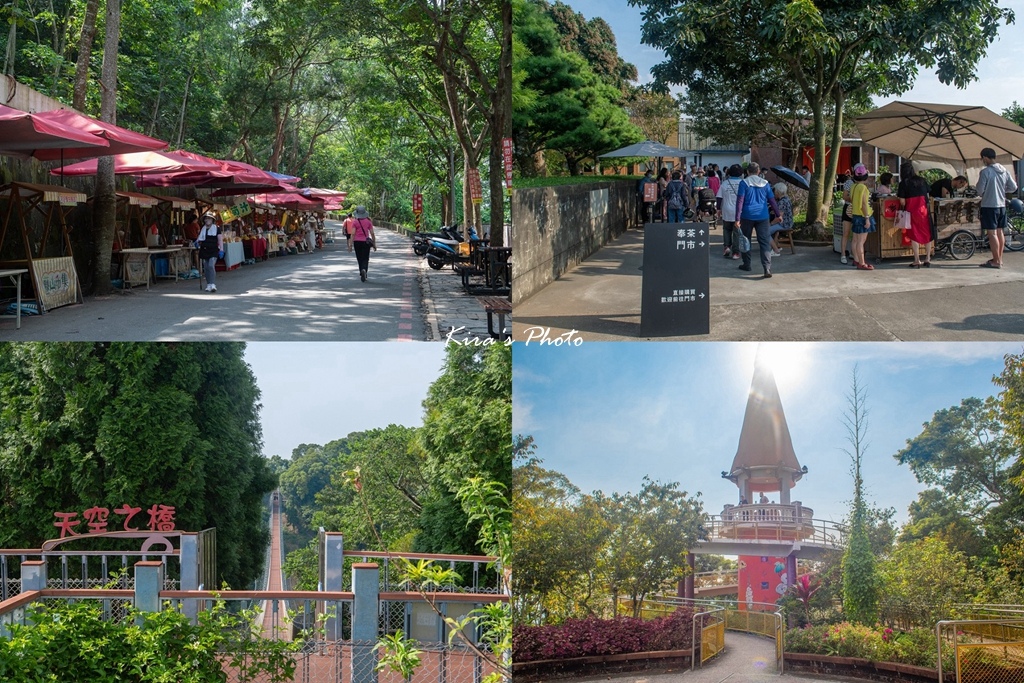 藤山猴探井 (0).jpg 藤山猴探井 (0).jpg