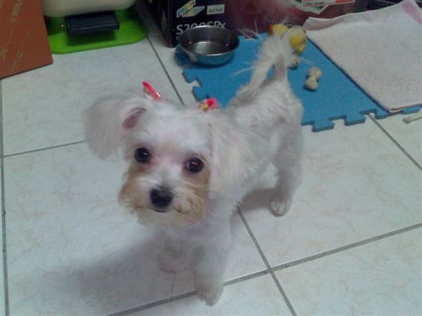 200706241515.jpg