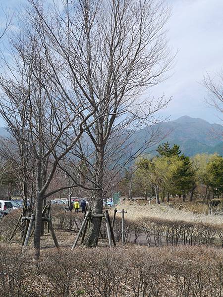 P1030531.jpg