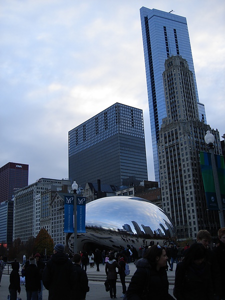 Millenium park bean