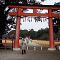 &lt;上賀茂神社&gt;