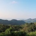 苗栗特色民宿 隱藏在森林區的『草山境民宿咖啡』2019好客民宿推薦苗栗包棟住宿