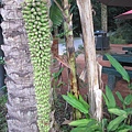 IMG_4967.jpg