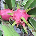 IMG_5723.jpg