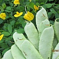 IMG_6028.jpg
