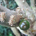 IMG_6017.jpg