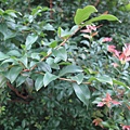 IMG_6044.JPG