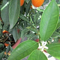 IMG_6030.JPG
