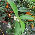 IMG_6032.JPG