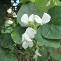IMG_6033.JPG