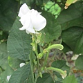 IMG_6034.JPG