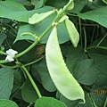 IMG_6035.JPG