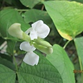 IMG_6036.JPG