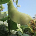 IMG_6037.JPG