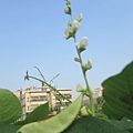 IMG_6039.JPG