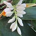 IMG_6041.JPG