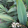 IMG_6042.JPG