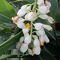 IMG_6043.JPG
