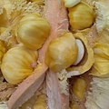 IMG_20170831_063057[1]