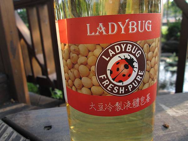  LADYBUG