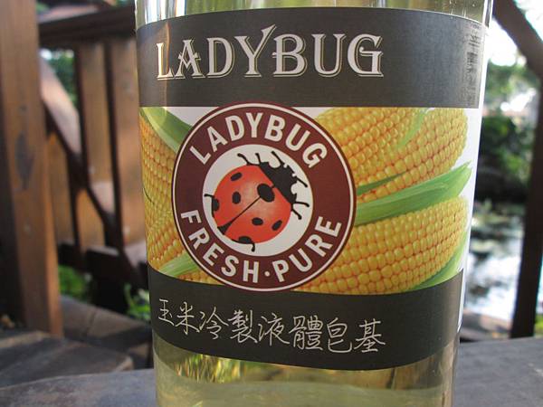  LADYBUG