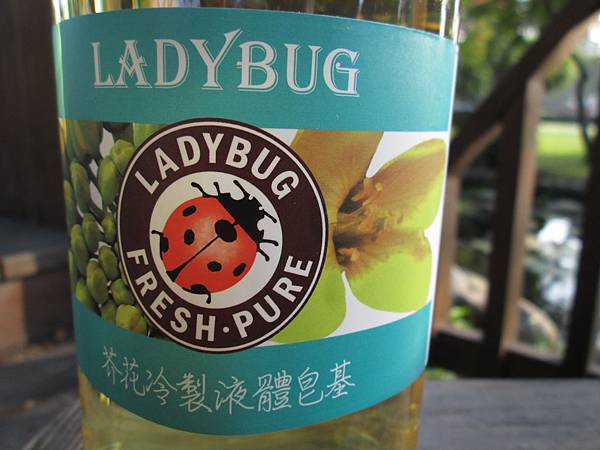  LADYBUG