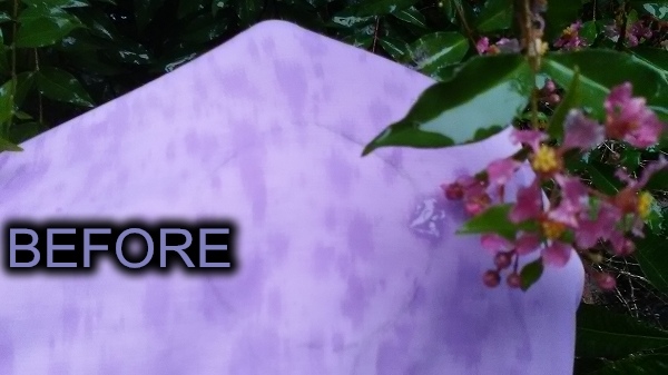 NewClean 新可靈奈米長效保潔劑