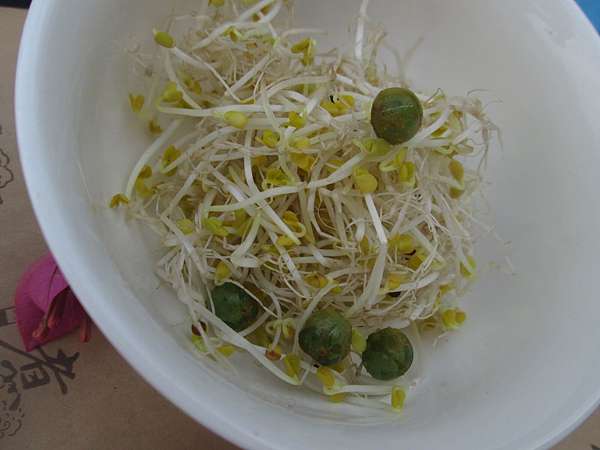 吃芽菜 永豐有機農業 有機雙驗證 芽菜專賣 健康芽菜宅配食記 哪狐不開提哪狐 痞客邦