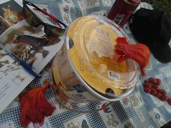 自然主意 酷覓星