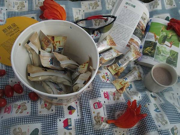 自然主意 酷覓星