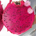 IMG_6891.JPG