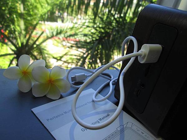 YoungFly IMG_8032.JPG