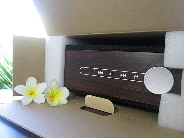 YoungFly IMG_8028.JPG