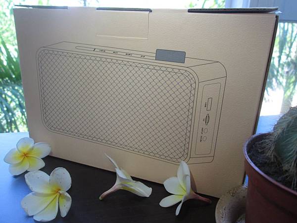 YoungFly IMG_8021.JPG