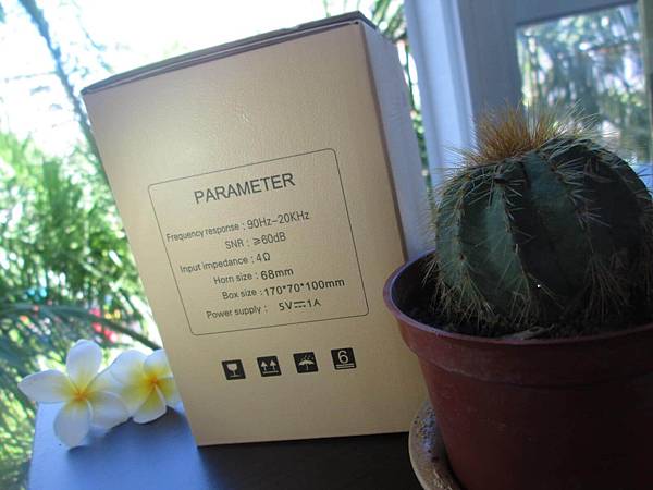 YoungFly IMG_8022.JPG