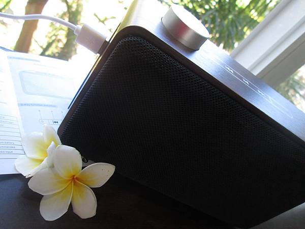 YoungFly IMG_8038.JPG