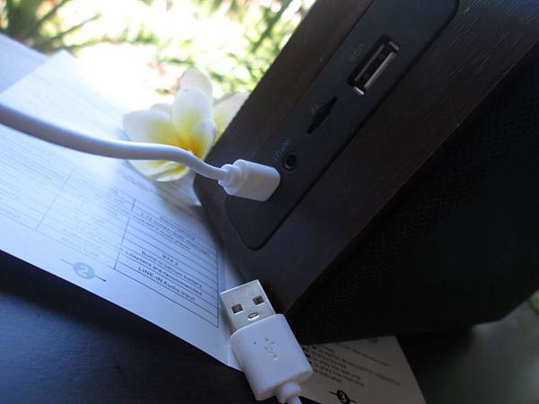 YoungFly IMG_8041.JPG