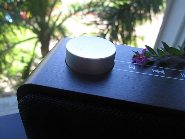 YoungFly IMG_8053.JPG