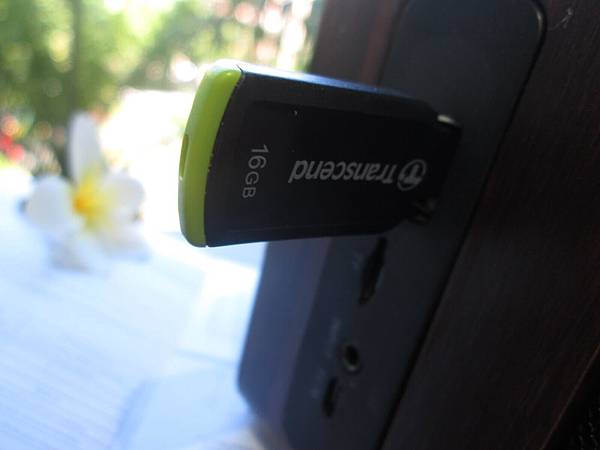 YoungFly IMG_8059.JPG