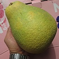 IMG_6236.JPG
