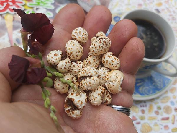 秋季零食！「得倫食品」九月秋饗活動／百樣零食／團購／零食推薦