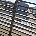 20250305_150109_16_11zon.jpg