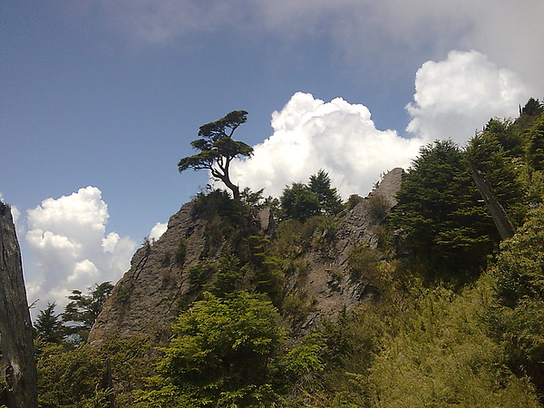 影像1285.jpg