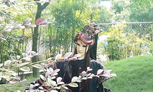 主子在玫瑰園_180714_0018_mei.jpg 主子在玫瑰園_180714_0018_mei.jpg