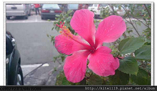 DSC_1083 DSC_1083