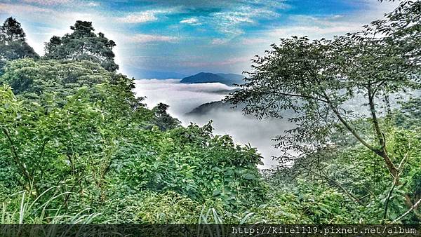 DSC_9715~2.jpg DSC_9715~2.jpg