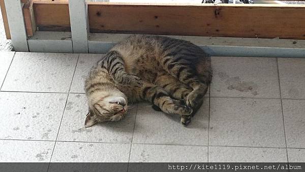 DSC_9732.JPG DSC_9732.JPG