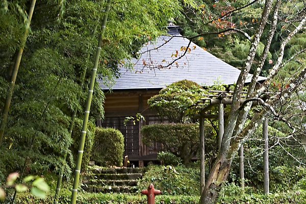 2008日本東北秋旬  中尊寺